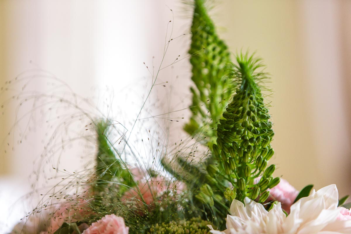 Joanna Paterova – dekoracje kwiatowe